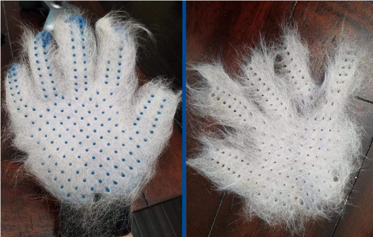 Haustierpflegehandschuh