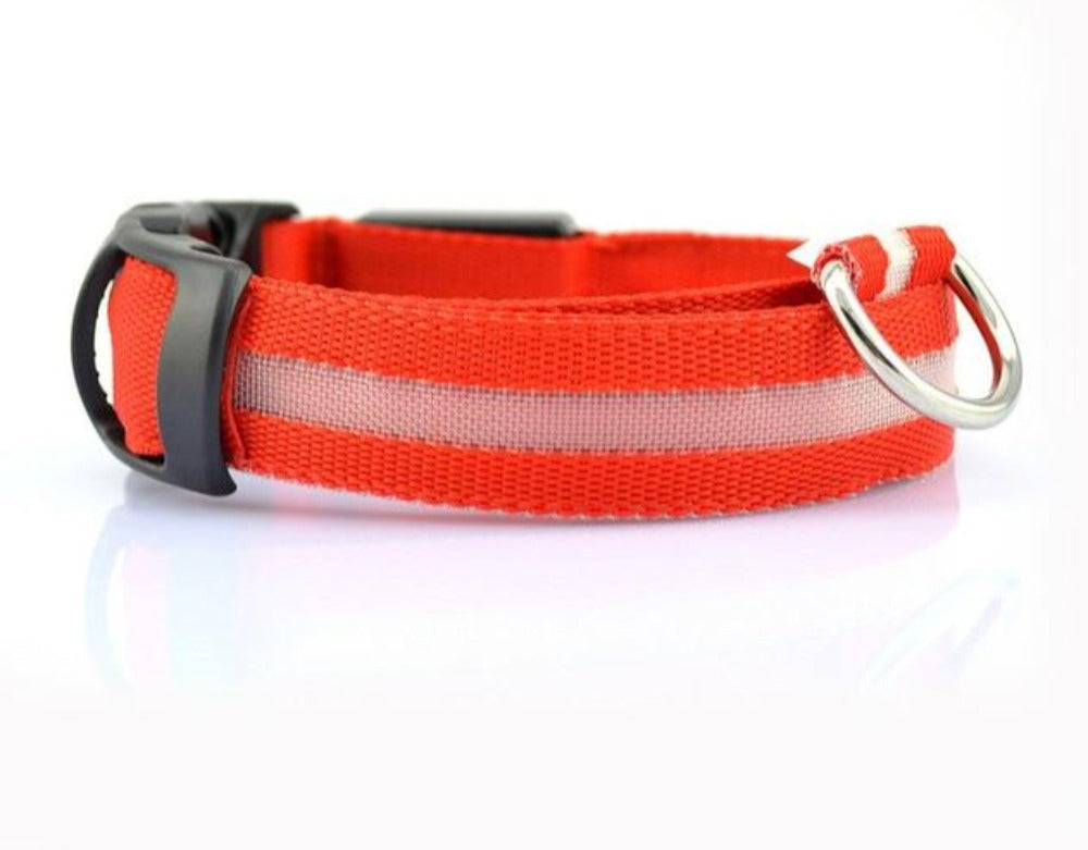 2-teiliges Set Nylon LED Hundehalsband