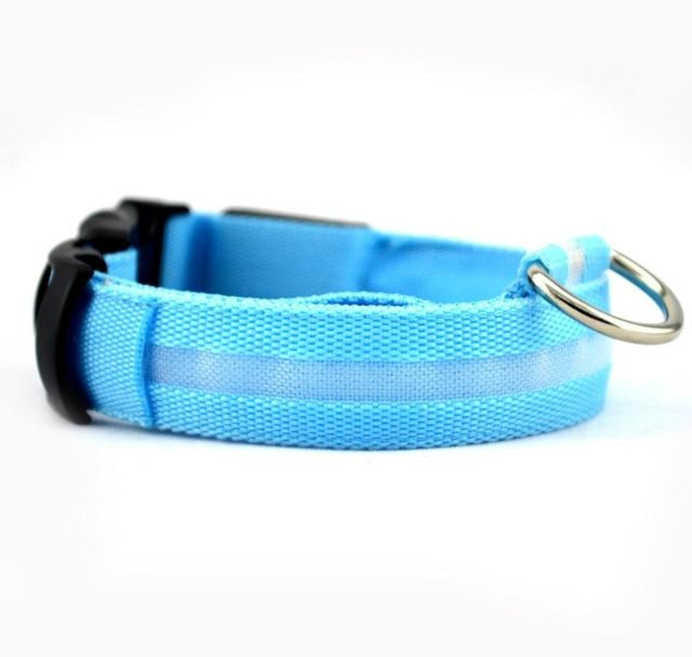 2-teiliges Set Nylon LED Hundehalsband