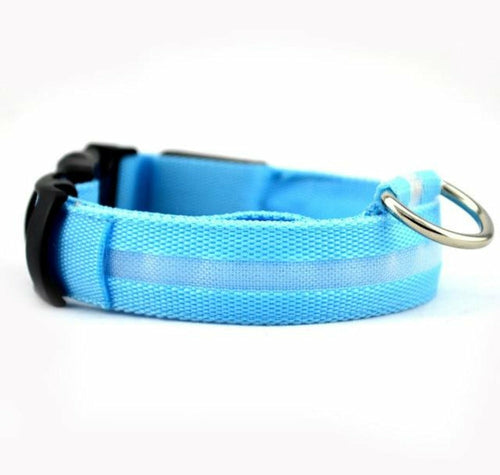 2-teiliges Set Nylon LED Hundehalsband