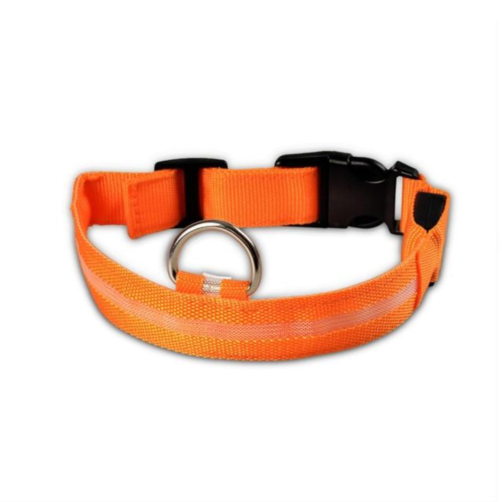 2-teiliges Set Nylon LED Hundehalsband