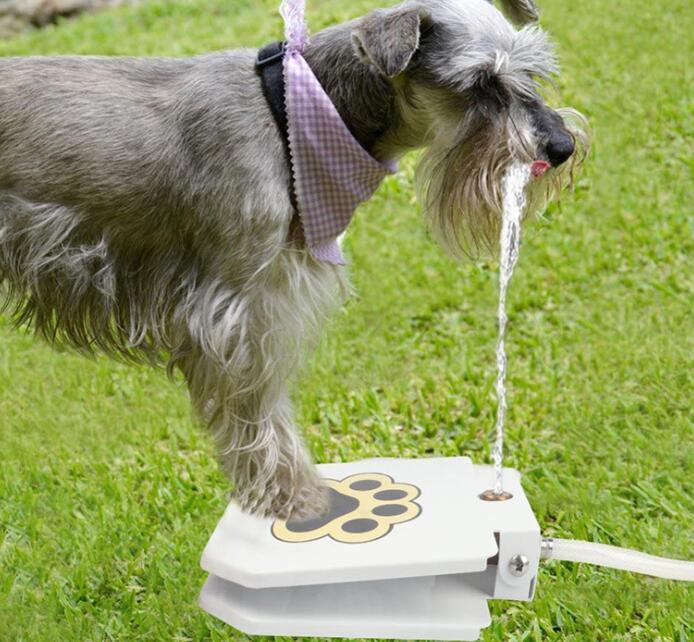 Wasserbrunnen für Hunde im Freien