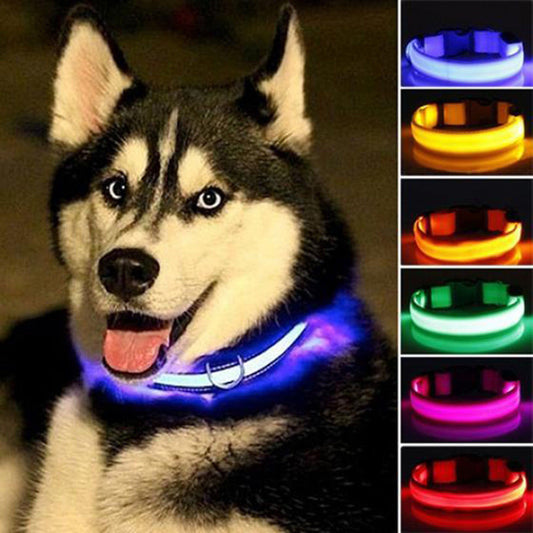 2-teiliges Set Nylon LED Hundehalsband
