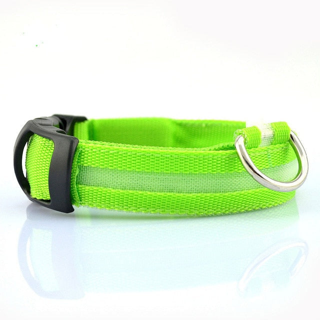2-teiliges Set Nylon LED Hundehalsband