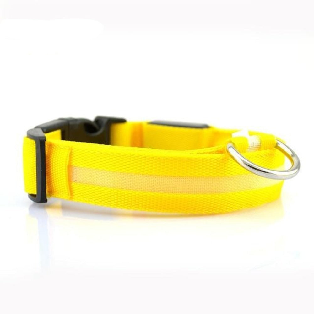 2-teiliges Set Nylon LED Hundehalsband