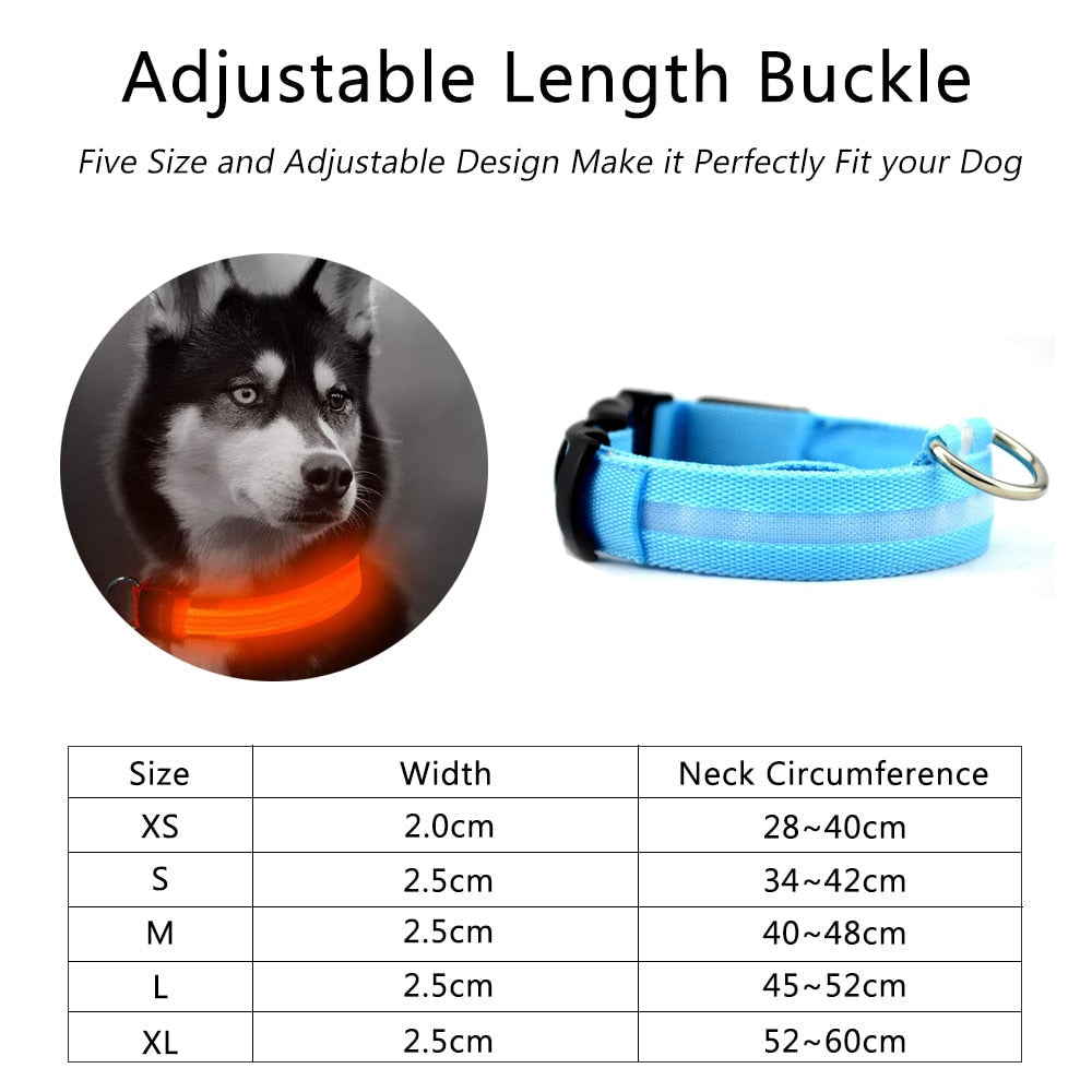 2-teiliges Set Nylon LED Hundehalsband
